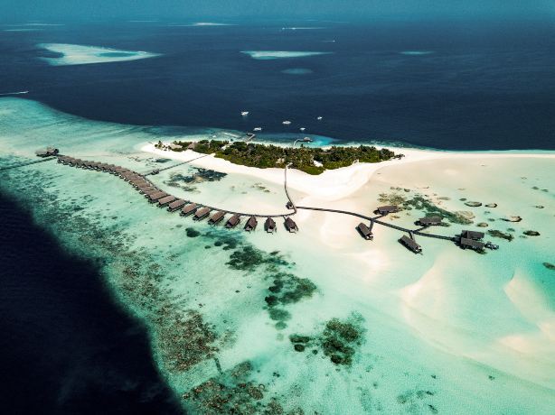 Makunufushi