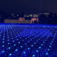 競馬だけではない( ˘ᵕ˘ )大井競馬場