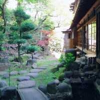 東京の真ん中にある、大自然。