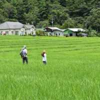 บ้านแม่กลางหลวง จ.เชียงใหม่
