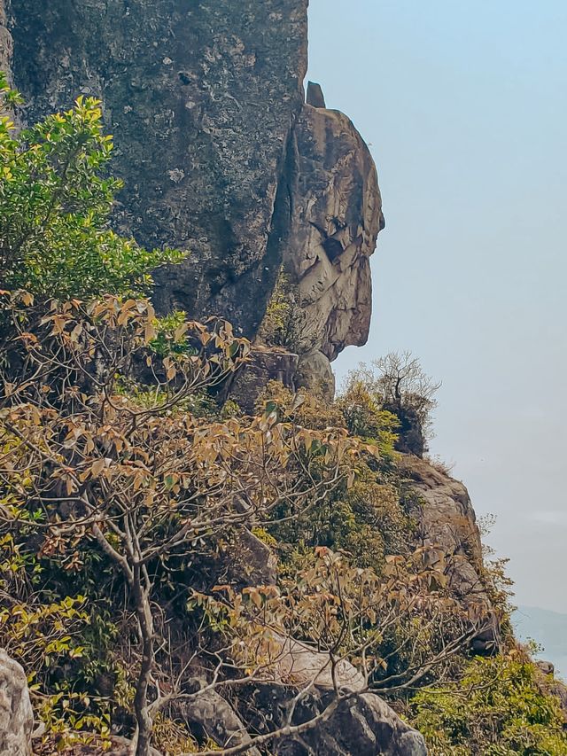 ［香港人必行獅子山