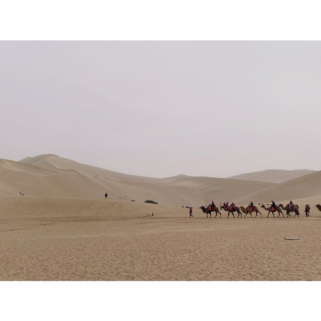 Crescent spring in beautiful desert