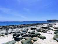 The turtle beach