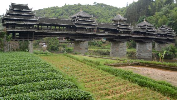 Sanjiang Chengyang Dong Villages Private 1-Day Trip, depart from Guilin