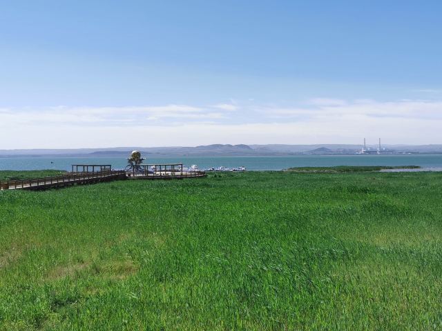 涼城岱海