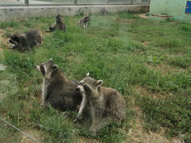 친황다오 야생동물원