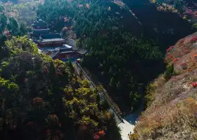 The Tianyuan Valley