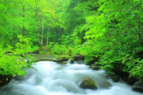 Oirase-keiryū gorge