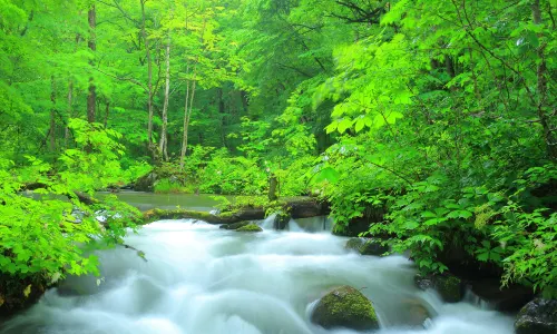 Oirase-keiryū gorge