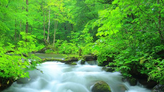 ช่องเขาโออิราเสะ