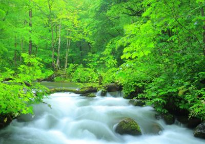 Oirase-keiryū gorge