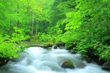 Oirase keiryū Gorge