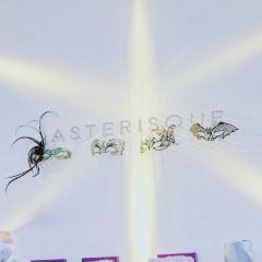 Asterisque User Photo