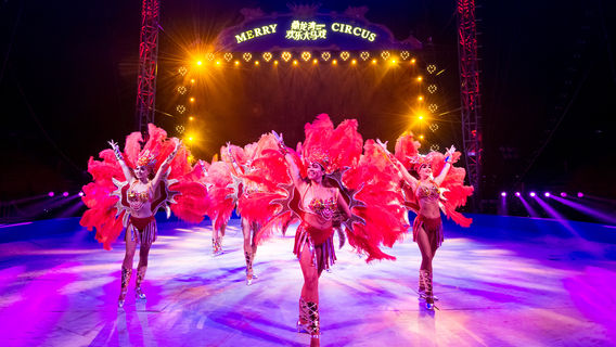 LOONG-BAY MERRY CIRCUS