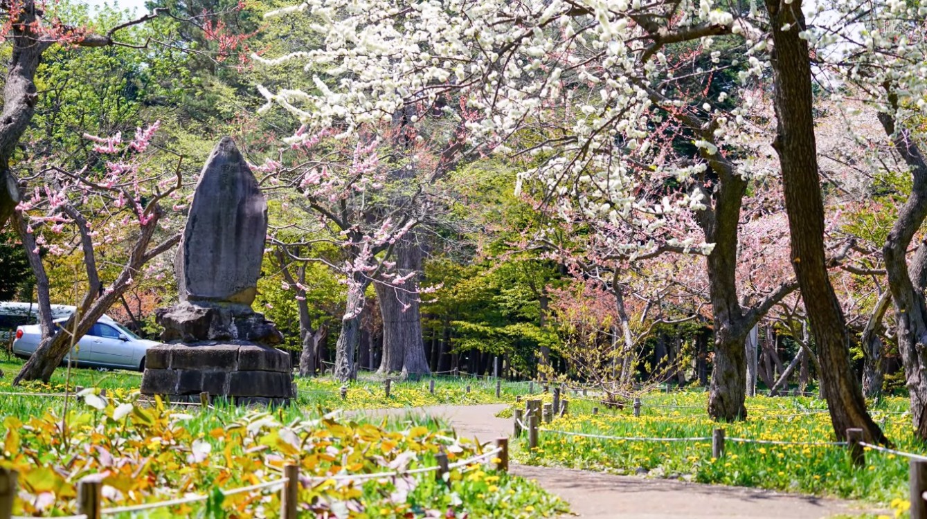 圓山公園旅遊攻略指南 圓山公園評論 圓山公園附近推薦 Trip Com 圓山公園旅遊攻略指南 圓山公園評論 圓山公園附近推薦 Trip Com