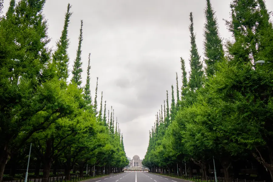 Giardino interno Meiji Jingu