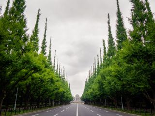 台北晶華酒店交通
