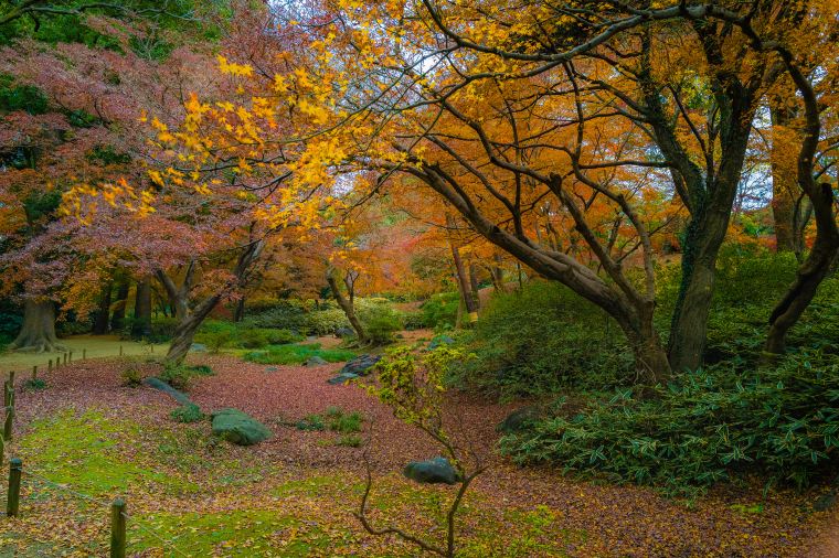 Blue Mountains National Park