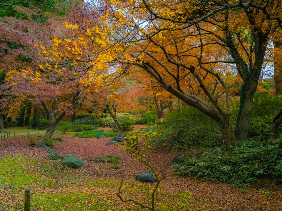 藍山國家公園