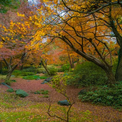 Отзывы об отеле Napoleon on Kent