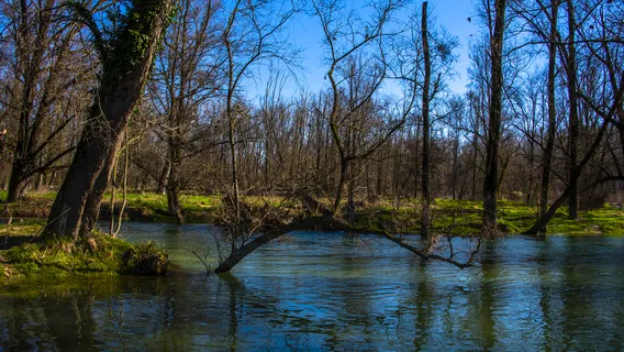 Victoria Park - Belfast