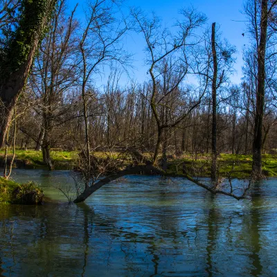Авиабилеты Белфаст Лондон