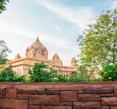 Tree of Life Bhadrajun House, Jodhpur