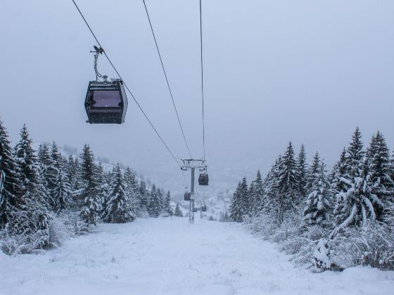 惠斯勒山滑雪場