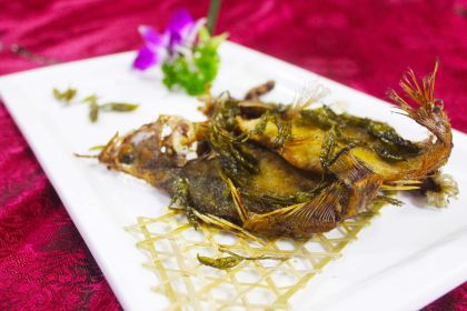 九华山远航度假酒店·餐饮部