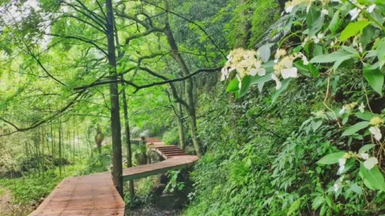 在金華山雙龍溪峽谷，林木茂密、山巒疊翠，常年水流不斷，水量豐