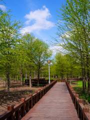 Mianqing Greenbelt, Kangqiao Ecological Park