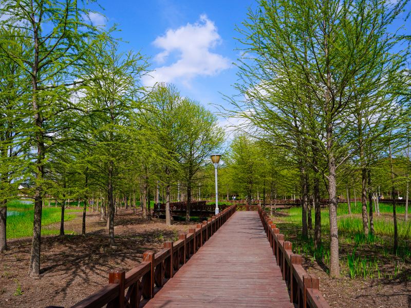 Mianqing Greenbelt, Kangqiao Ecological Park