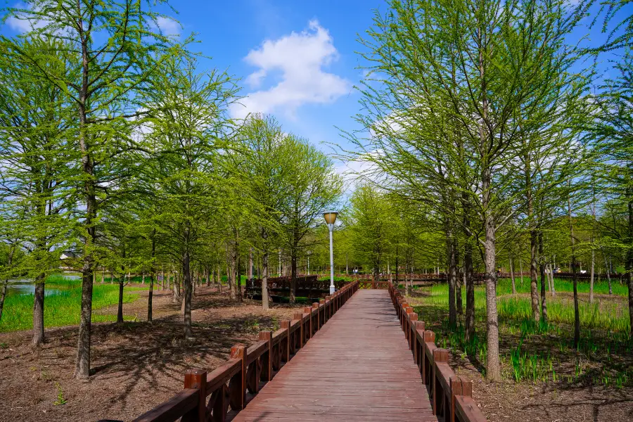 Mianqing Greenbelt, Kangqiao Ecological Park