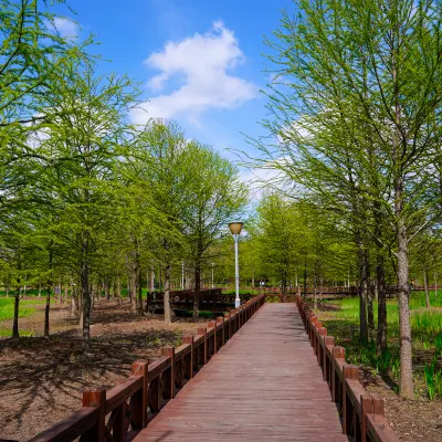 Radisson Blu Hotel Shanghai New World