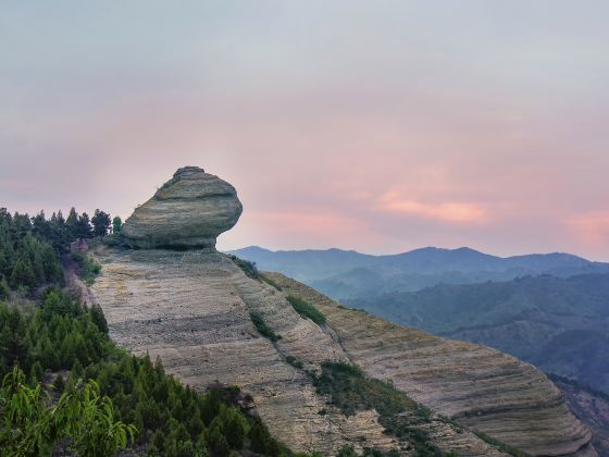 Toad Stone