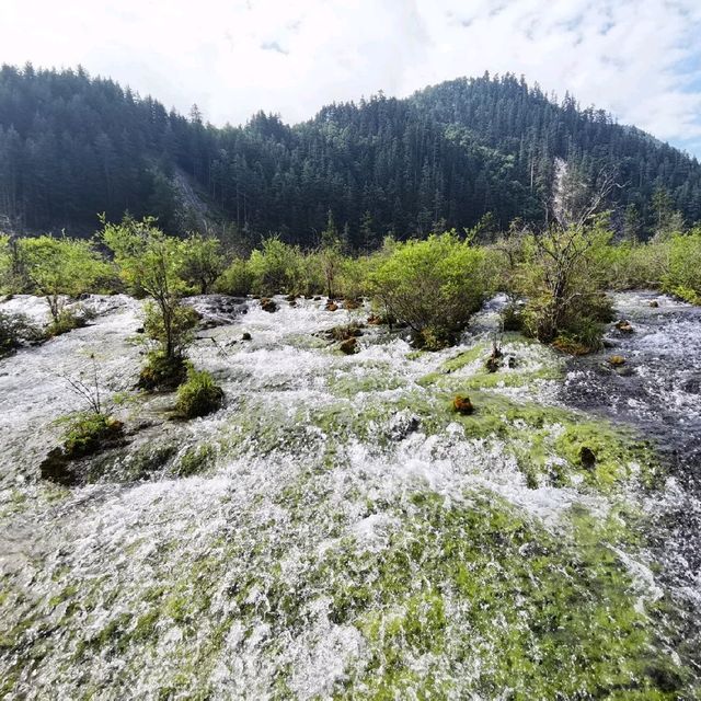 UNESCO World Heritage Park Jiuzhaigou