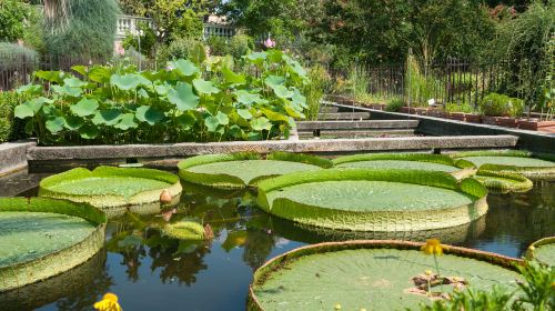 University of Padua Botanical Garden