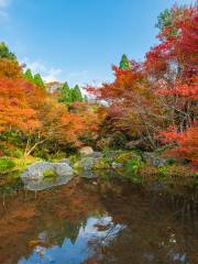 Kankyo Geijutsu No Mori Park