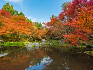 Kankyo Geijutsu No Mori Park