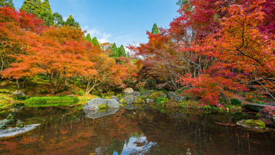 Kankyo Geijutsu No Mori Park
