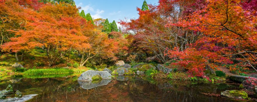 Kankyo Geijutsu No Mori Park