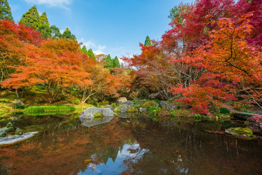 Kankyo Geijutsu No Mori Park