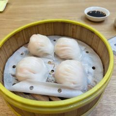 RONG SHE User Photo