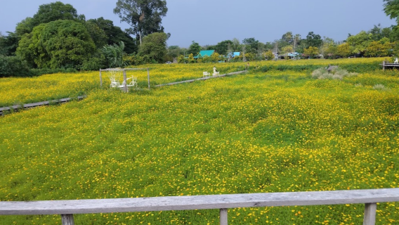 Kachornvit Mushroom Farm