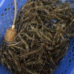 老字号祥龍酒楼·本地特色农家菜(老店全新升级店) User Photo