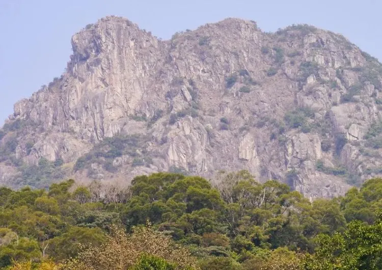 【沙田行山2026】5條沙田行山路線資訊!道風山/獅子山/黃牛山攻略