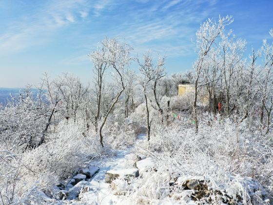 후산성 삼림 공원