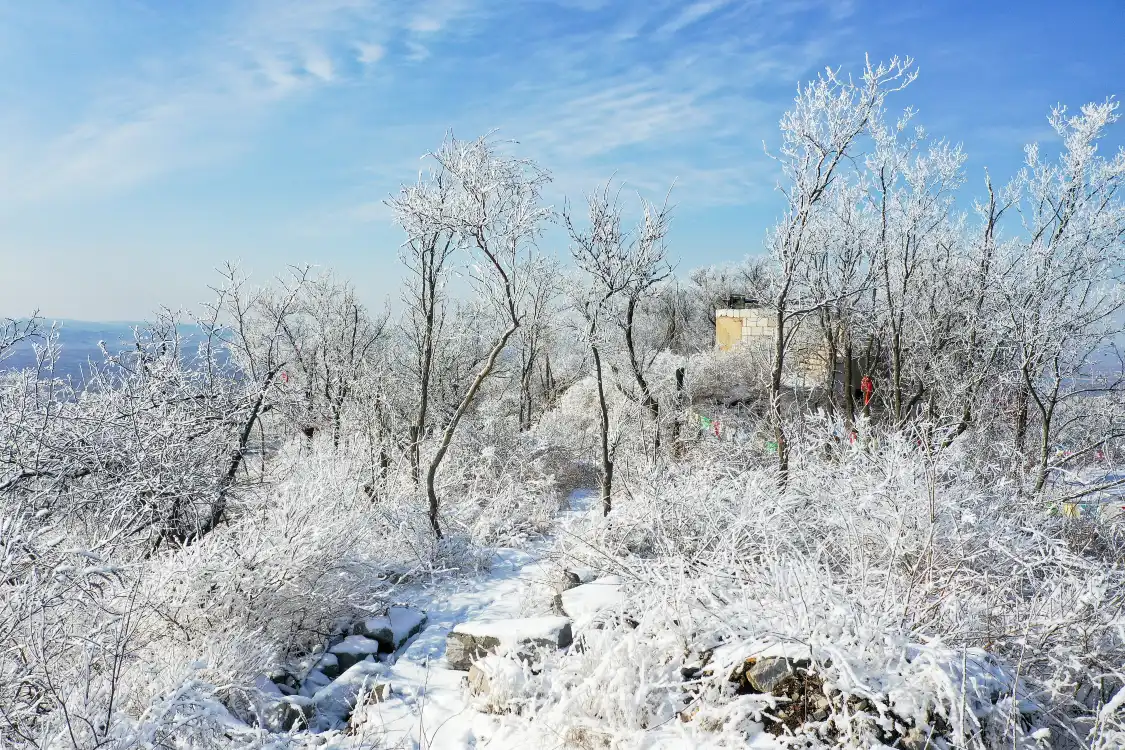 후산성 삼림 공원 주변 호텔