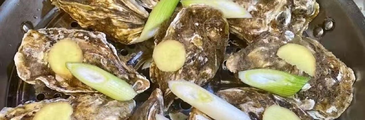 Six Feet Under Newstead