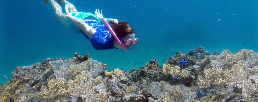 Coral Coast Dive